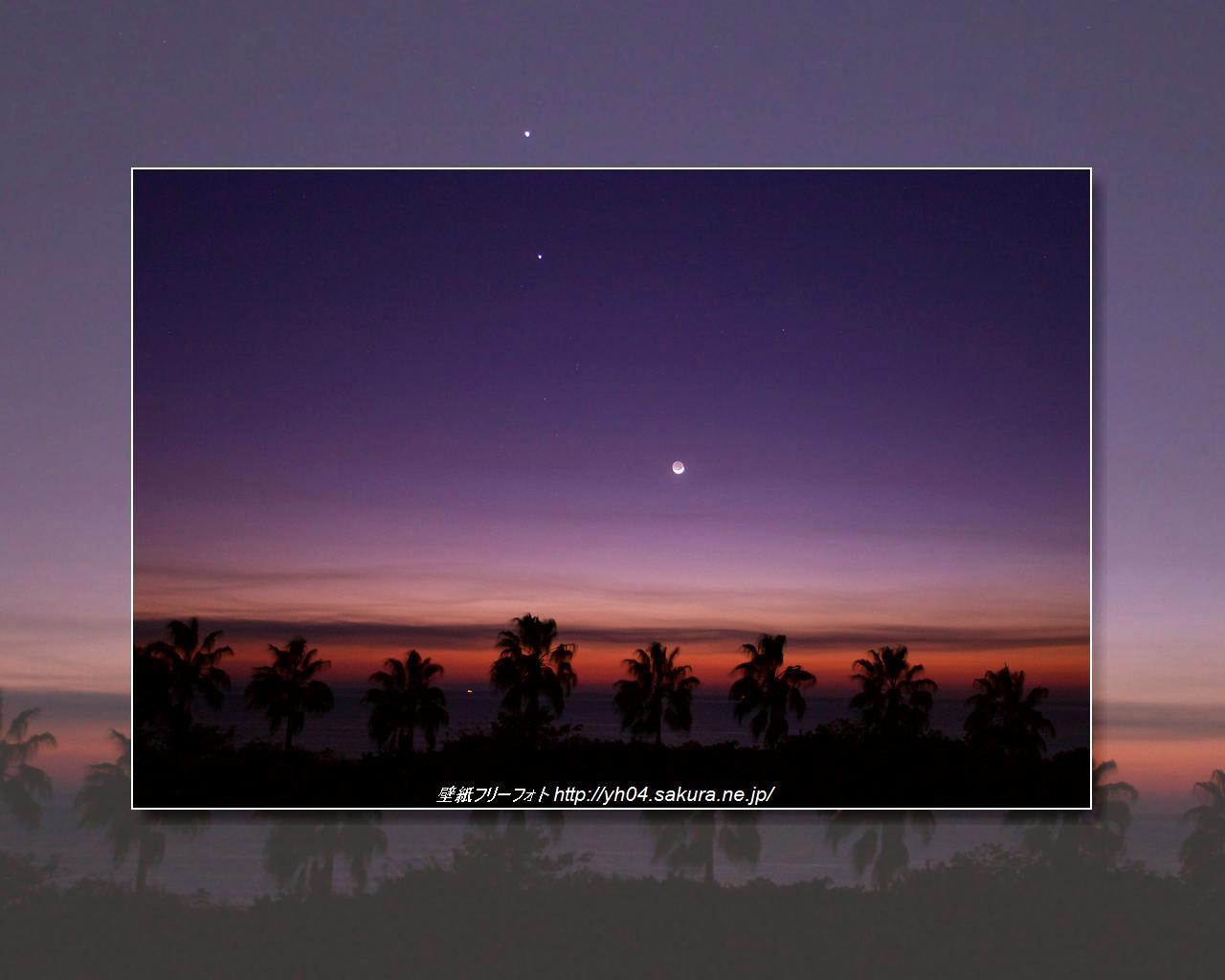 椰子の樹と夕景「高画質＋高解像度(1280×1024)」デスクトップ無料壁紙」