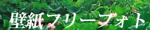 霧島の自然風景・桜島の噴火・九州南部の風景写真壁紙「高画質＋高解像度」無料壁紙サイト