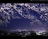 霧島市城山公園からの夜景